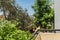 View from the balcony to the hotels. Green trees and blue skies.