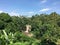 View of bali green nature with waterfall