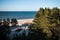 View of Baltic sea and pine trees, Kolka, Latvia