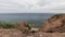 View on the Baltic sea from the precipice on summer cloudy day is filmed in timelapse