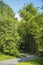 View of Bamboo garden at Fairylake Botanical Garden