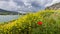 View of the banks of the Rhone with the cliffs and the bridge of the Robinet de Donzere, in springtime in Provence