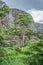 View of a baobab tree, tropical landscape and mountains on background