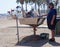 View of a barbecue grill preparing a typical fish skewer on the beaches of Malaga