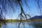 View through bare tree branches on blue lake under blue sky