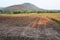 A view of the barren rice field , Thailand