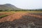 A view of the barren rice field , Thailand