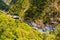 View of the Barron river near Kuranda in north Queensland, Australia