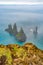 View of basalt stacks Reynisdrangar, black sand beach near Vik,