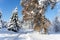 View of a Bavarian winter landscape with lots of snow, blue sky with clouds