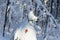 View of a Bavarian winter landscape with lots of snow, blue sky with clouds