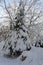 View of a Bavarian winter landscape with lots of snow, blue sky with clouds on a cold winter day