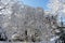 View of a Bavarian winter landscape with lots of snow, blue sky with clouds on a cold winter day