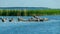 View of the bay, green reeds, lots of rocks, good bird nesting places, Saaremaa, Estonia