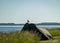 View of the bay, green reeds, lots of rocks, good bird nesting places, Saaremaa, Estonia