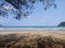 The view on the beach with a beautiful stretch of beach sand, under the pine trees.