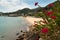 View of beach and flowers of Isla Taboga Panama City