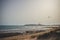 View of the beach and the kite surfs in the sky on a sunset