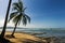 View of the beach with palm trees in Puerto Viejo de Talamanca, Costa Rica