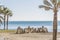 View of the beach with palm trees and in stone the name of Malaga