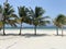 View on the beach with palms and white sand in Africa, island Zanzibar (Tanzania).