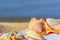 View of a beach with seashells and towel on the sand under the hot summer sun, selective focus. Concept of sandy beach holiday