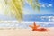 View of a beach with starfish and seashell under the hot tropical sun, selective focus. Concept of sandy beach holiday