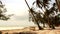 View of the beach in Zanzibar