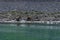 A view of bears on the shore of Disenchartment Bay close to the Hubbard Glacier in Alaska