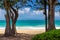 View of beatiful beach with turquoise water between two trees in Waimanalo