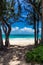 View of beatiful beach with turquoise water between two trees in Waimanalo, Oahu