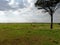 View of the beautiful African savannah early in the day