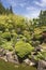 View on a beautiful blooming and blossoming green temple garden on a sunny day in Japan