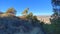 View of the beautiful city from a hill of coniferous forest.