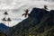 View of the beautiful cloud forest and the Quindio Wax Palms at the Cocora Valley located in Salento in the Quindio region in