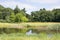 View on a beautiful Dutch summer landscape with grass, trees, a pond, wild flowers.