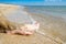 View of beautiful female feet with bright red pedicure on the sand of the beach. The ankles of the feet are smeared with