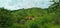 View of a beautiful green hillside from thickets of trees. A house with a red roof is located at its foot.