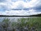 View at Beautiful Lake Panorama with Reeds and Clouds