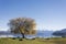 View on beautiful lake Wanaka, Otaga Region, New Zealand in late winter, early spring. The air is crisp, the water is cold