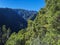 View on beautiful lush lanscape from hiking trail Barranco de la Madera with pine tree forest, ravine, steep green