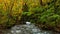 View of beautiful Oirase Stream in autumn flow in the colorful foliage forest