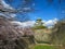 View of beautiful Osaka castle through cherry blossom branches and stone bank moat with blue sky background