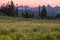 A view of a beautiful sunset over a range of mountains from across a meadow with wildflowers, the sky is an reddish colour and