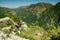 View of a beautiful valley with a husky dog