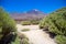 View of beautiful volcano Teide