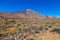 View of beautiful volcano Teide in summer