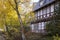 View of a beautifully autumnally coloured birch tree, which stands in the idyllic old town of Goslar