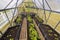 View of beds with planted tomatoes, cucumbers and peppers in a greenhouse. Home gardening concept.