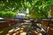 View into a beer garden with various wooden garden furniture and sunshades under trees